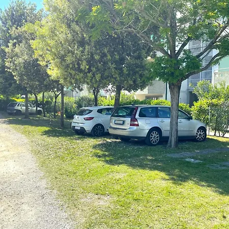 Near In 55154 Apartment *